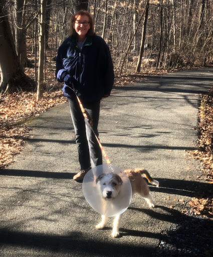 Park «Bringhurst Woods Park», reviews and photos, 5001 Washington Street Extension, Wilmington, DE 19809, USA