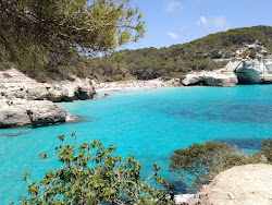 Photo de Cala Mitjana avec un niveau de propreté de très propre