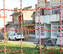 Parque Los Sauces photo