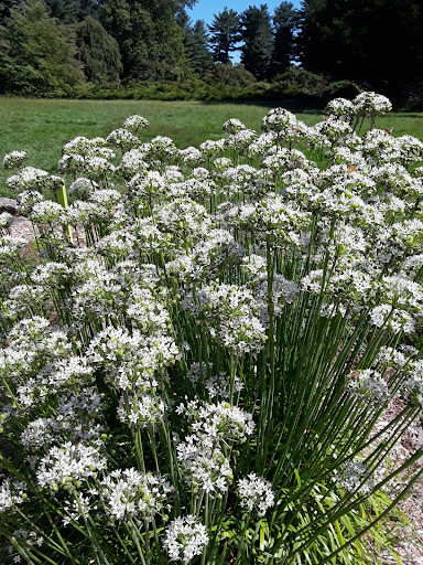 Park «Hart`s Brook Park and Preserve», reviews and photos, 156 Ridge Rd, Hartsdale, NY 10530, USA