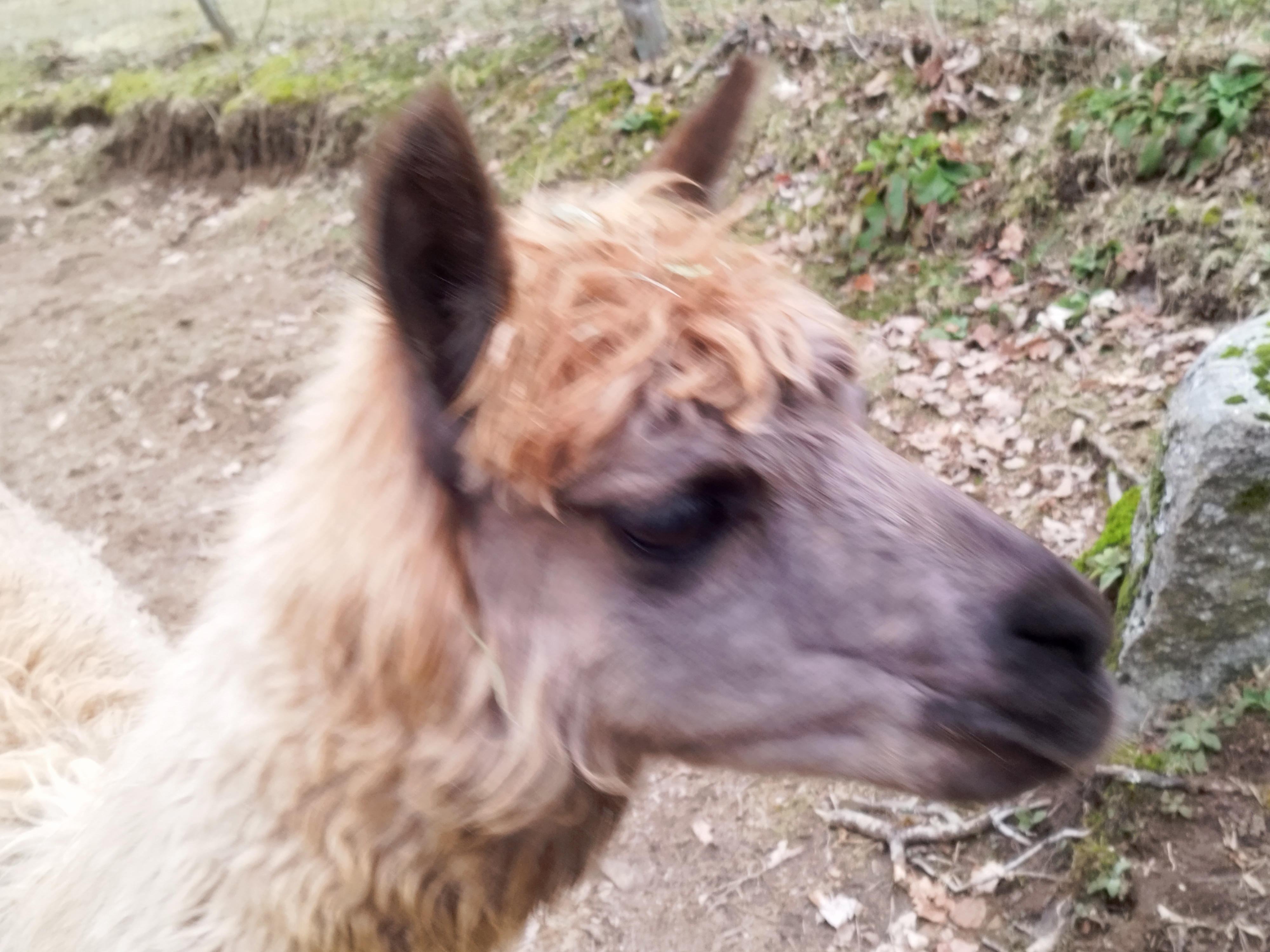 Photo n° 5 de l'avis de Karl.O fait le 05/03/2024 à 17:44
