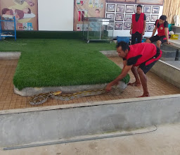 Samui Snake Farm photo