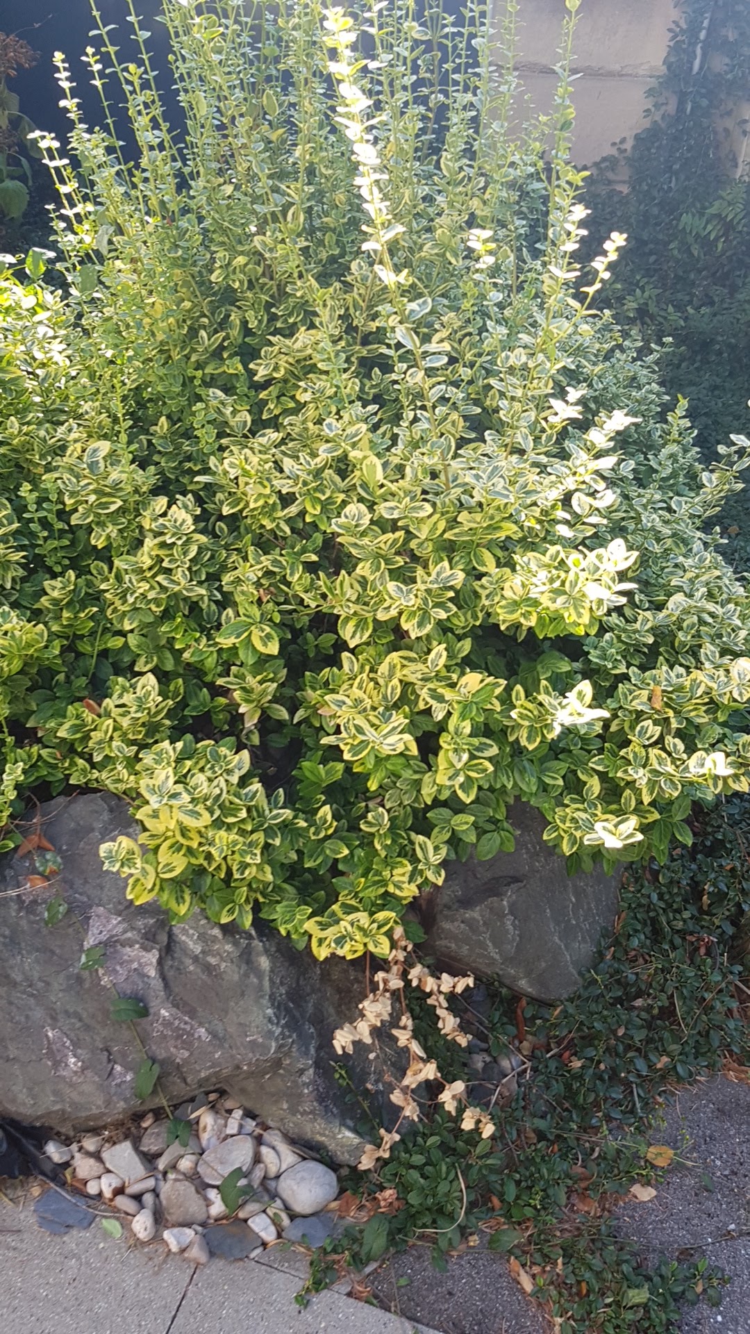 Photo n° 23 de l'avis de hugo.l fait le 20/08/2018 à 15:25