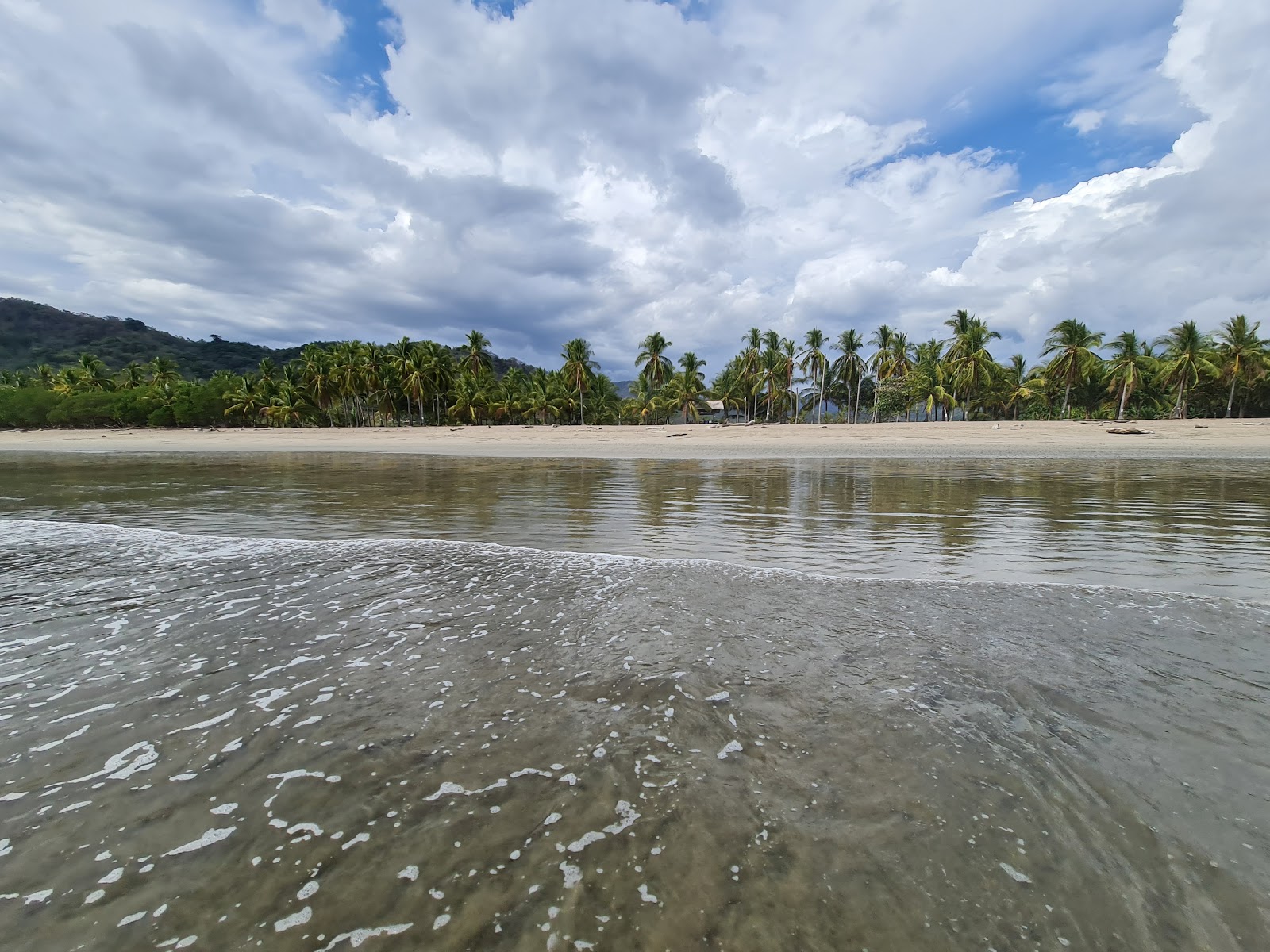 Corozalito Beach'in fotoğrafı biraz temiz temizlik seviyesi ile