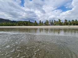 Corozalito Beach'in fotoğrafı biraz temiz temizlik seviyesi ile