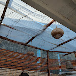 Photo n°13 de l'avis de STEFANO.O fait le 04/02/2024 à 18:21 sur le  Casa Carmen à Fregenae