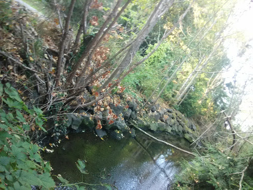 Conference Center «Des Moines Beach Park Auditorium», reviews and photos, 22030 Cliff Ave S, Des Moines, WA 98198, USA