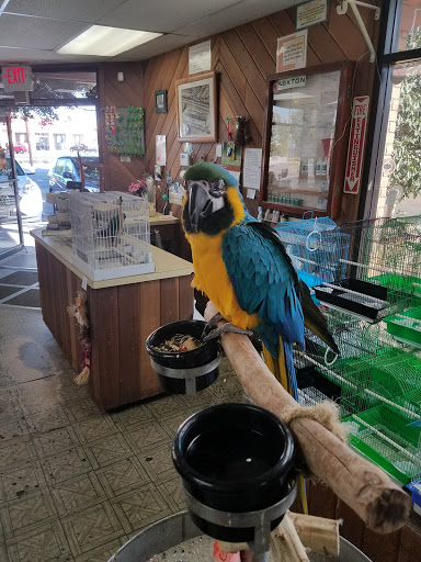 Bird shop Costa Mesa