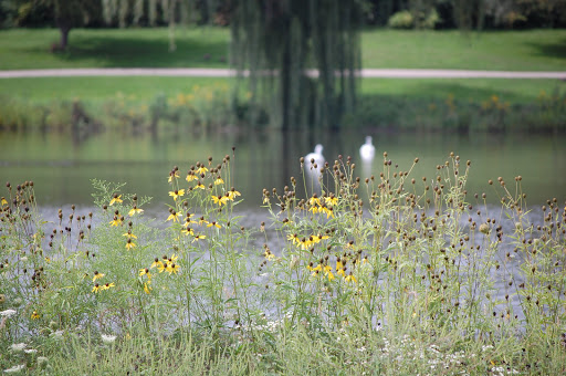 Fabbrini Park image 1