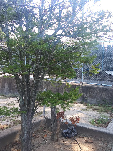 Park «Centennial Park», reviews and photos, 1 E Centennial Ave, Roosevelt, NY 11575, USA