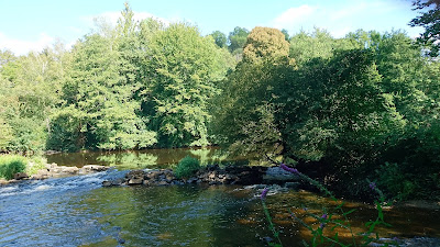 Frechin à Val-d'Oire-et-Gartempe