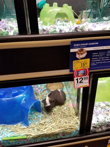 Pet Supply Store «PetSmart», reviews and photos, 2858 Willamette St, Eugene, OR 97405, USA