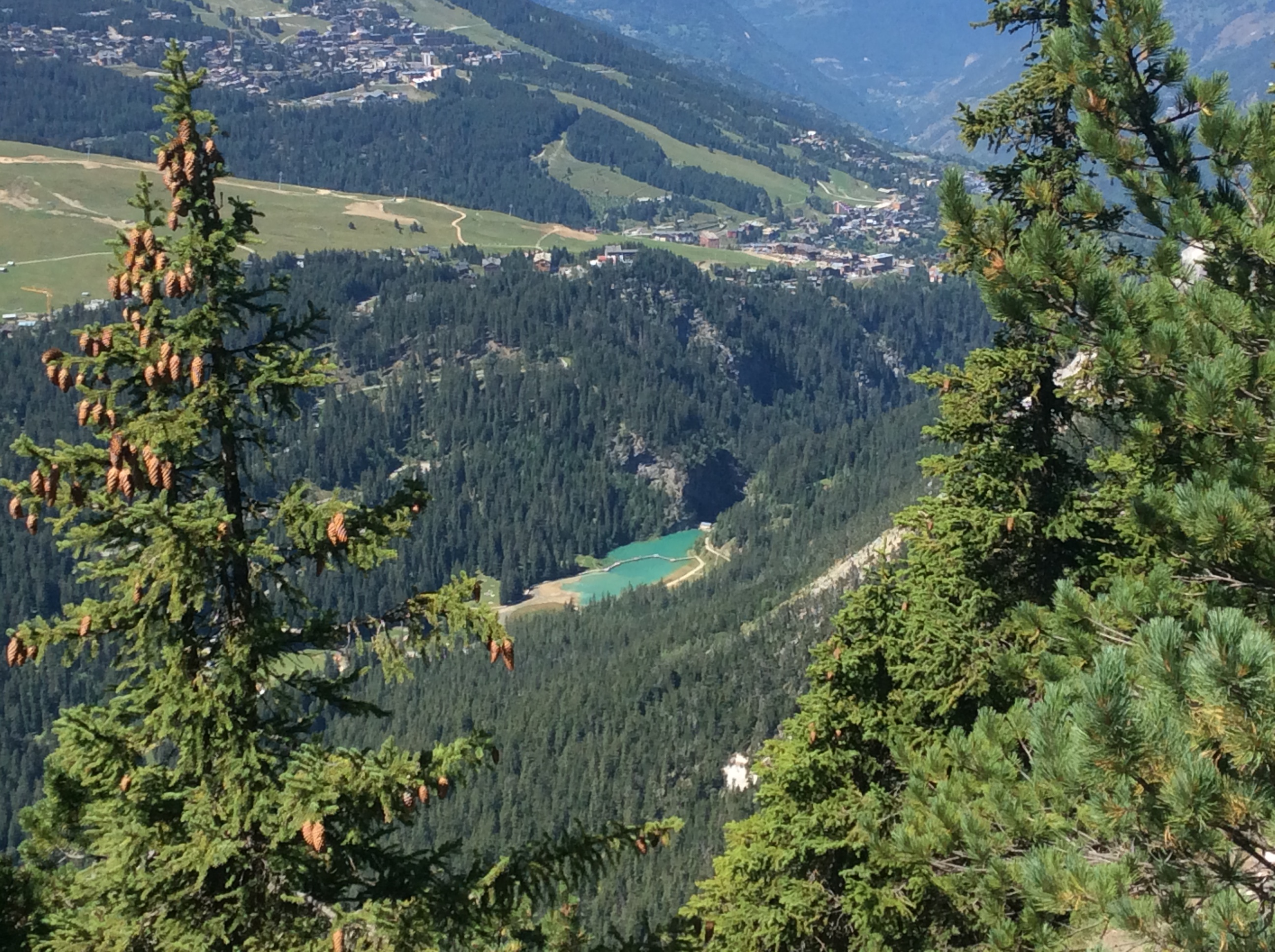 Photo n° 2 de l'avis de Patrice.E fait le 26/01/2020 à 19:05