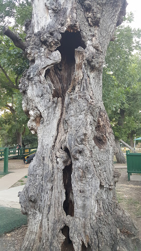 Park «Getzendaner Park», reviews and photos, 400 S Grand Ave, Waxahachie, TX 75165, USA