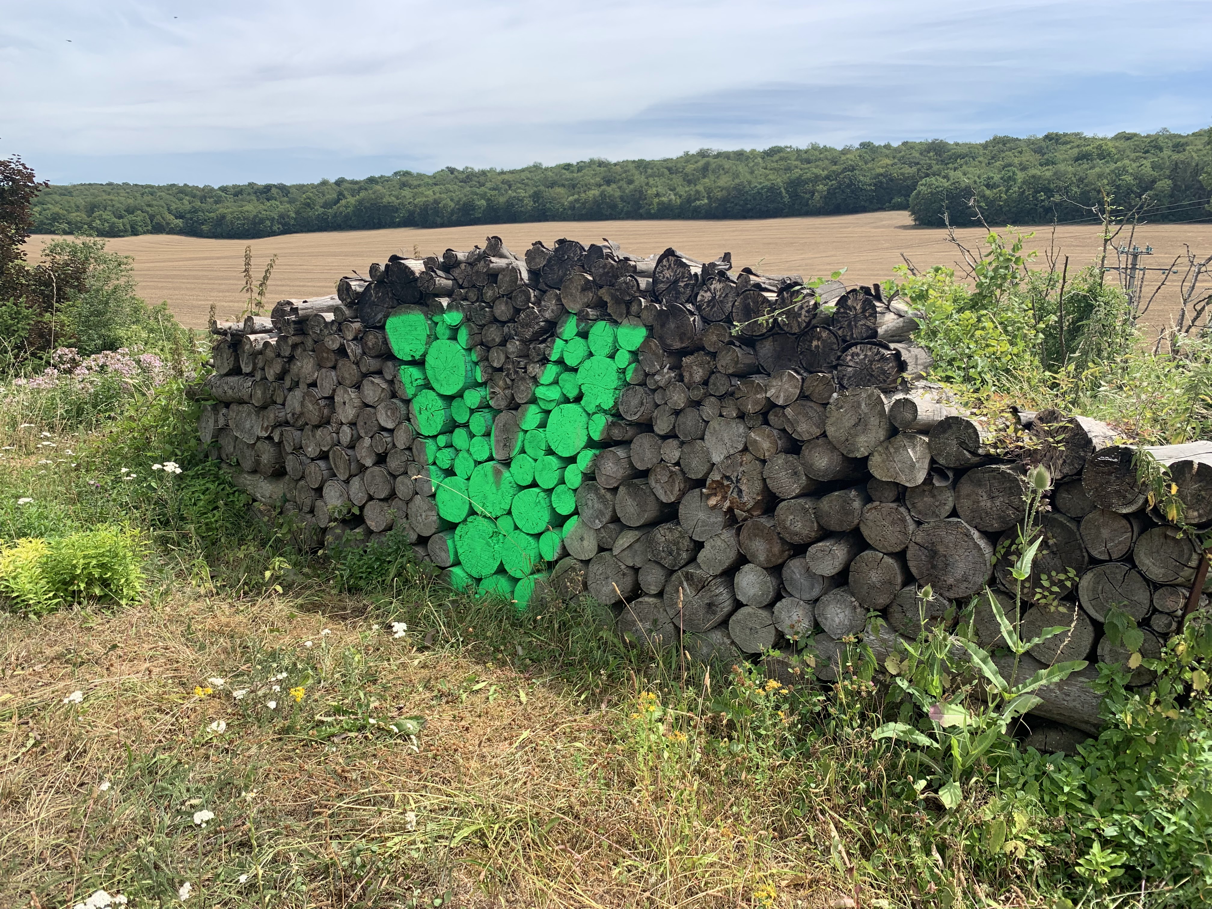 Photo n° 1 de l'avis de Kristy.h fait le 10/08/2019 à 10:44