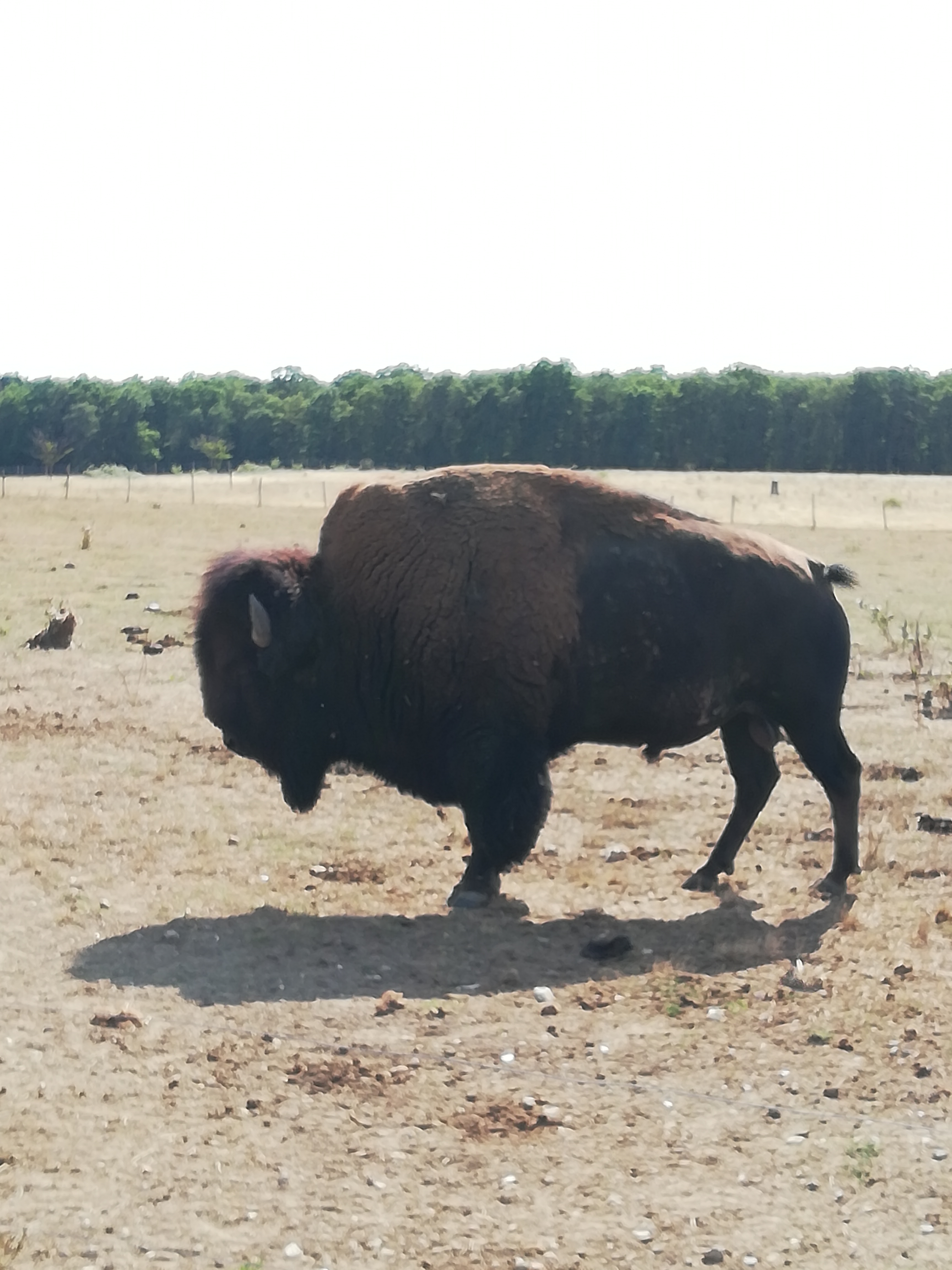 Photo n° 45 de l'avis de Severine.e fait le 23/08/2019 à 23:18