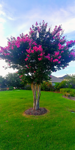 Golf Course «WestRidge Golf Course», reviews and photos, 9055 Cotton Ridge North Road, McKinney, TX 75070, USA