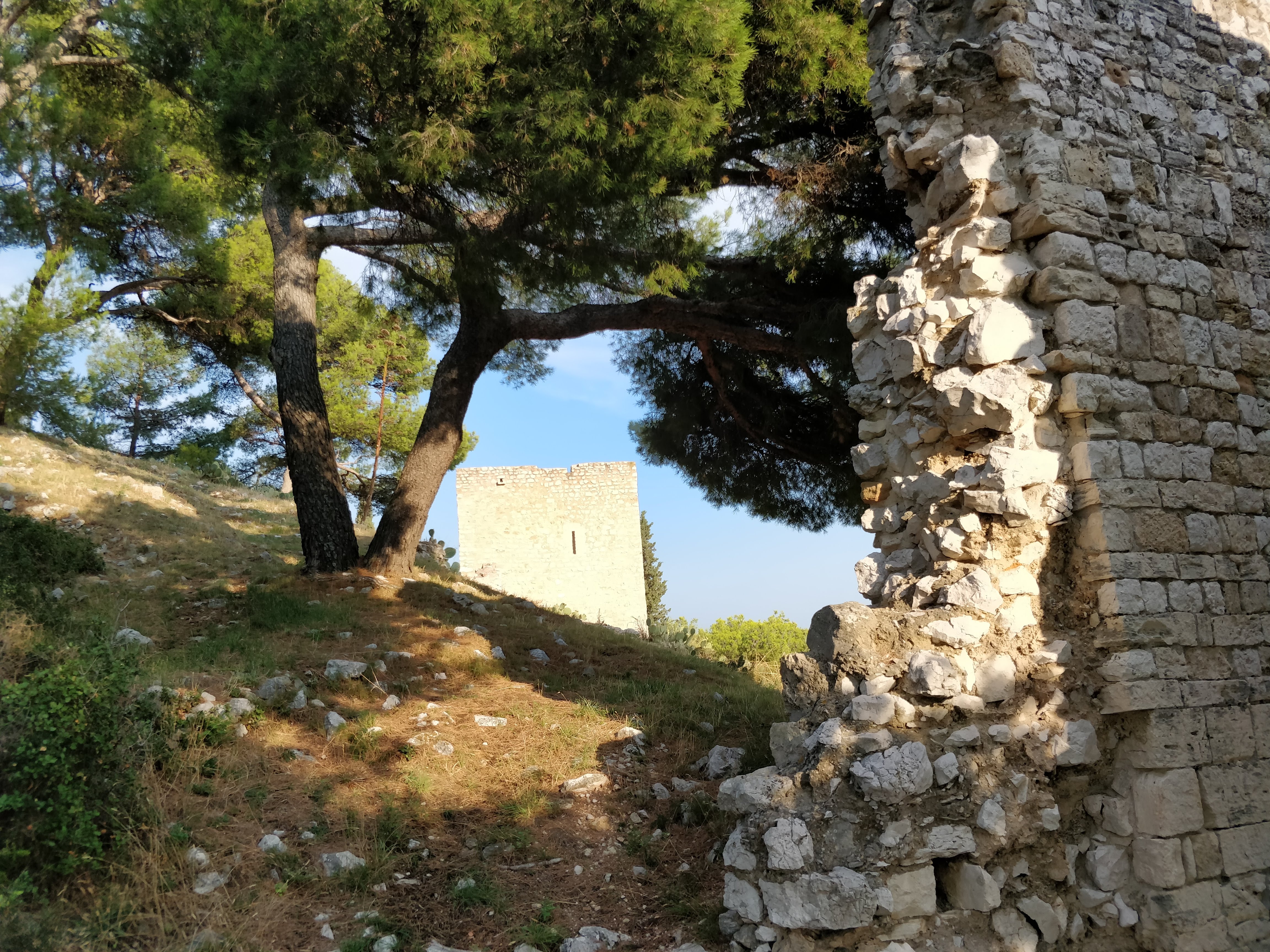 Photo n° 8 de l'avis de Edouard.a fait le 19/08/2018 à 22:03