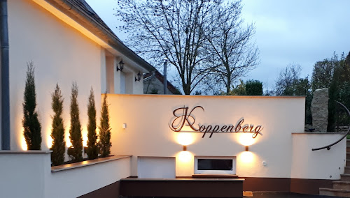 Lodge Gîte Koppenberg Reutenbourg en france