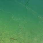 Photo n°3 de l'avis de Armin.o fait le 10/07/2020 à 16:21 sur le  Cafe am See à Kochel