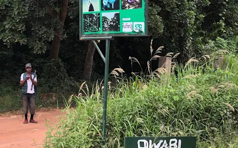 Owabi Wildlife Sanctuary image
