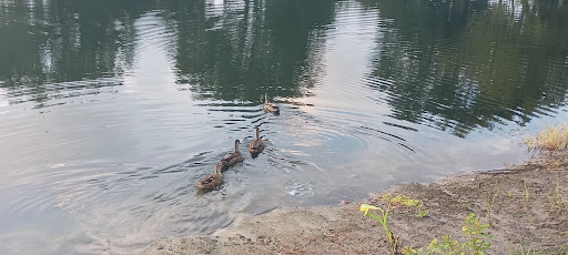 Golf Course «Glenview Park Golf Club», reviews and photos, 800 Shermer Rd, Glenview, IL 60026, USA