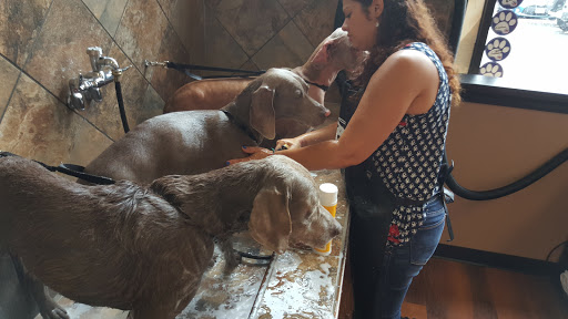 Pet Store «Pet Valu», reviews and photos, 134 S Ridge St, Rye Brook, NY 10573, USA