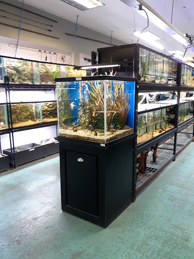 Fish Store «Aquatek Tropical Fish», reviews and photos, 8023 Burnet Rd # 1, Austin, TX 78757, USA