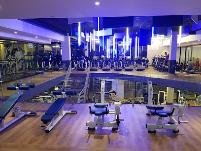 Planet Fitness - Morningside - The Wedge Shopping Centre, Rivonia Rd, Morningside, Sandton, 2196, South Africa