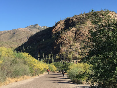 Santa Catalina Ranger District