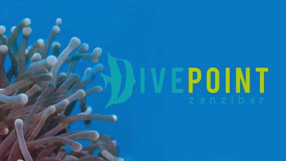 Dive Point Zanzibar