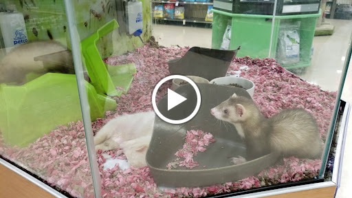 Pet Supply Store «Petco Animal Supplies», reviews and photos, 5975 20th St, Vero Beach, FL 32966, USA