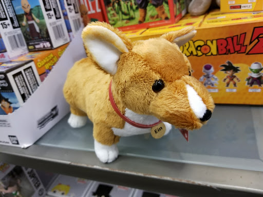 Book Store «Books-A-Million», reviews and photos, 2626 E Stone Dr, Kingsport, TN 37660, USA