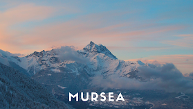 Mursea