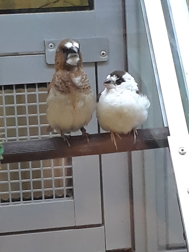 Pet Store «PetSmart», reviews and photos, 1580 Gateway Blvd, Fairfield, CA 94533, USA