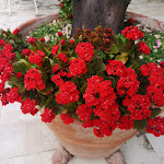 Photo n°2 de l'avis de Roberto.u fait le 11/09/2021 à 06:36 sur le  Hotel Parco Delle Fontane à Syracuse