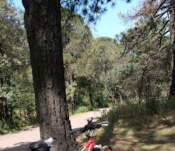Campos de fútbol Rancho Viejo photo