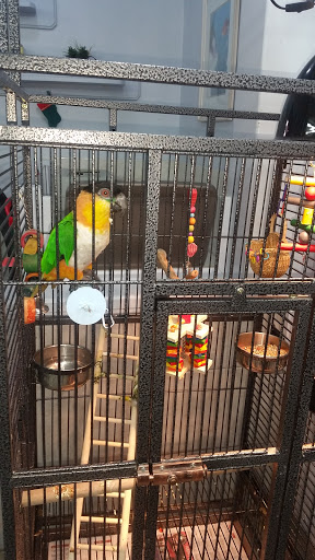 Animal Shelter «Humane Society of Atlantic County», reviews and photos, 1401 Absecon Blvd, Atlantic City, NJ 08401, USA