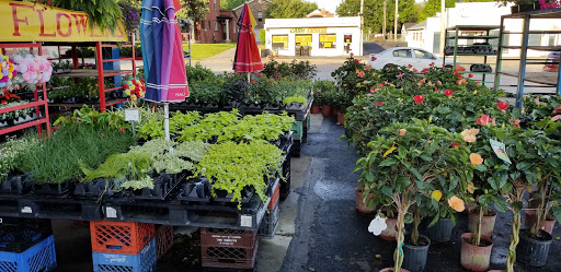 Produce Market «Parkway Produce», reviews and photos, 2601 Preston Hwy, Louisville, KY 40217, USA