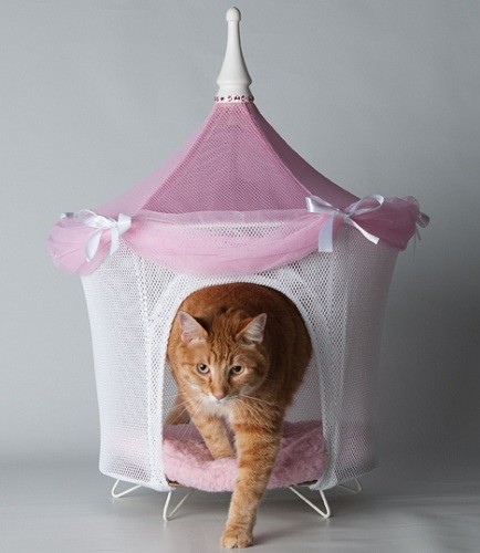 Pet Supply Store «Posh Pet Glamour Boutique», reviews and photos, 19 N Riverside Ave, Terryville, CT 06786, USA