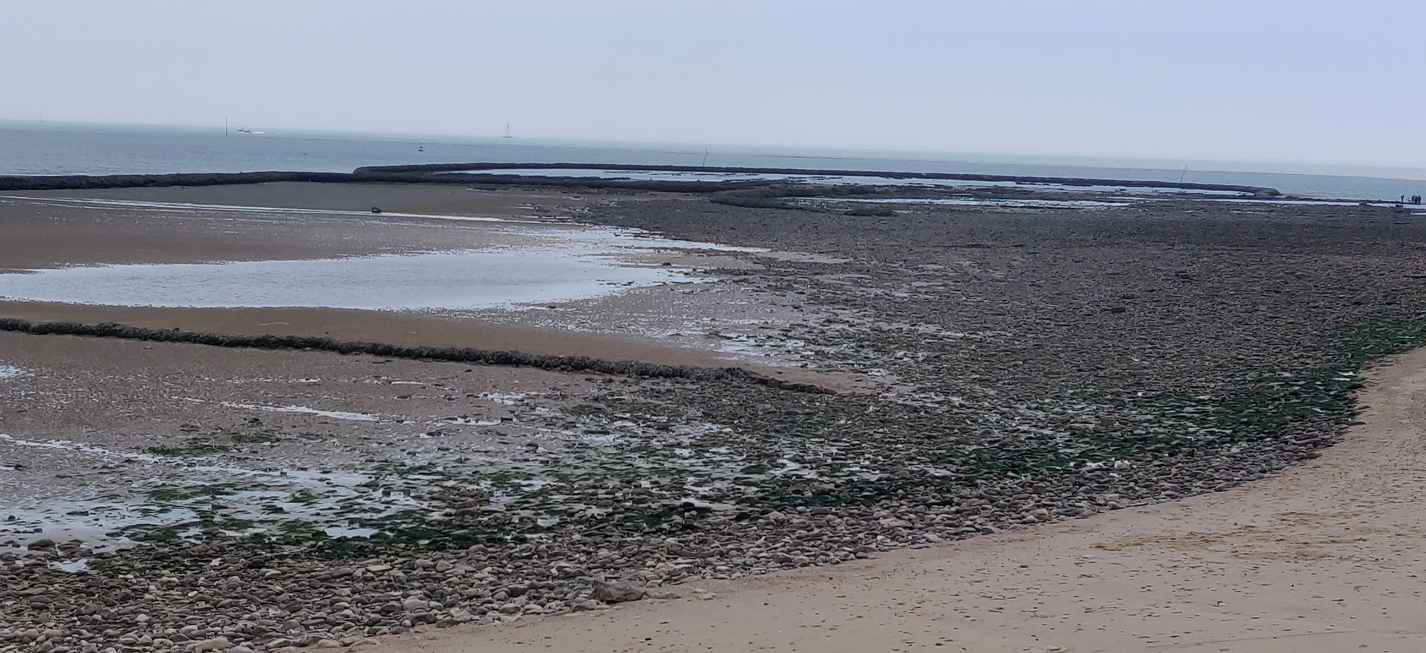 Photo n° 5 de l'avis de oc.e fait le 06/05/2022 à 16:44