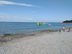 Barbariga beach'in fotoğrafı kısmen tatil bölgesi