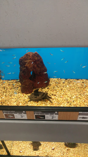 Pet Supply Store «Petco Animal Supplies», reviews and photos, 717 SE Geary St #101, Albany, OR 97321, USA