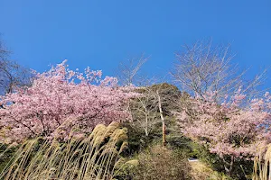 Municipal Mr.Zuiken Kawamura Memorial Park. image