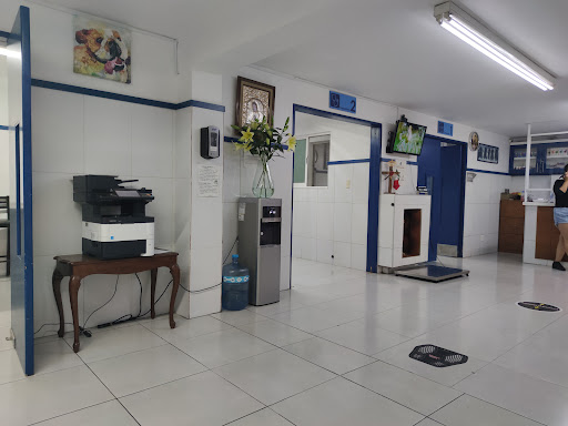 Hospital veterinario Tlaquepaque