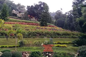 Terrazas de Flores Botanical Garden image