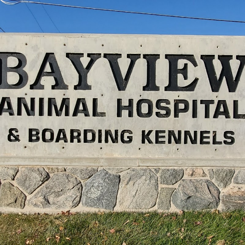 Bayview Animal Hospital Farmington