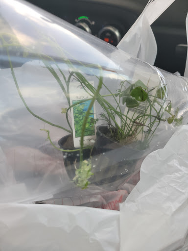 Pet Store «Oasis Tropicals», reviews and photos, 507 Commerce St, Pleasanton, TX 78064, USA