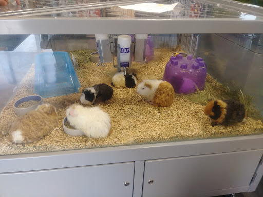 Pet Groomer «We Lov Pets», reviews and photos, 3853 Northpointe Dr, Zanesville, OH 43701, USA