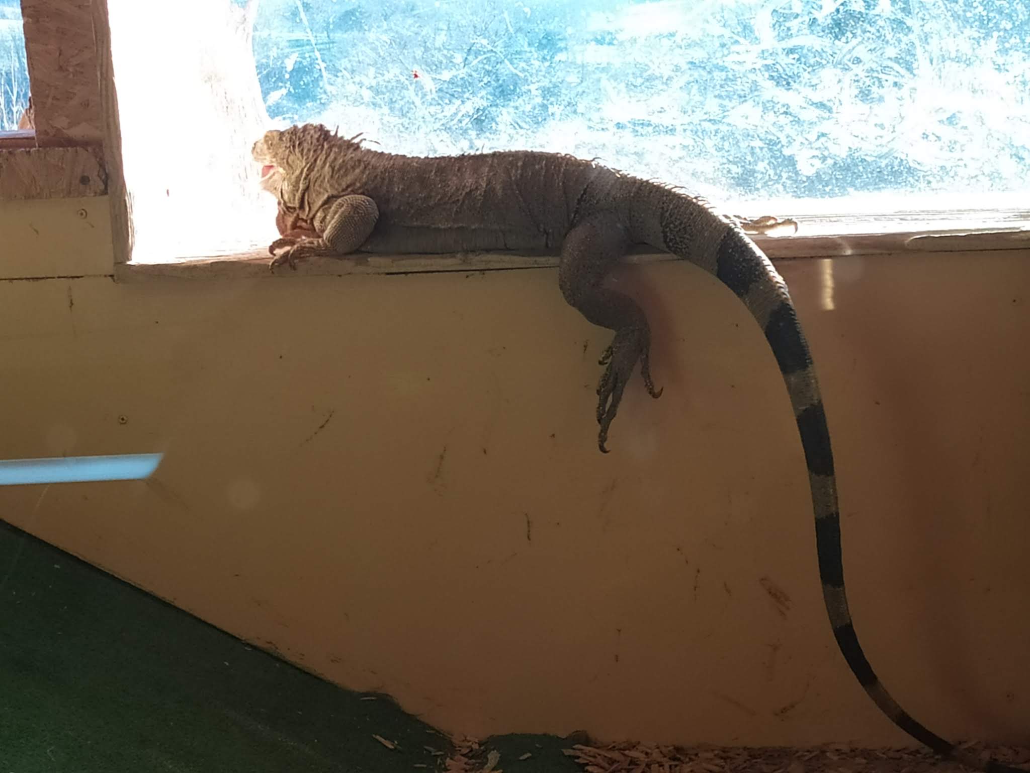 Photo n° 1 de l'avis de Ronde.t fait le 30/12/2019 à 17:38